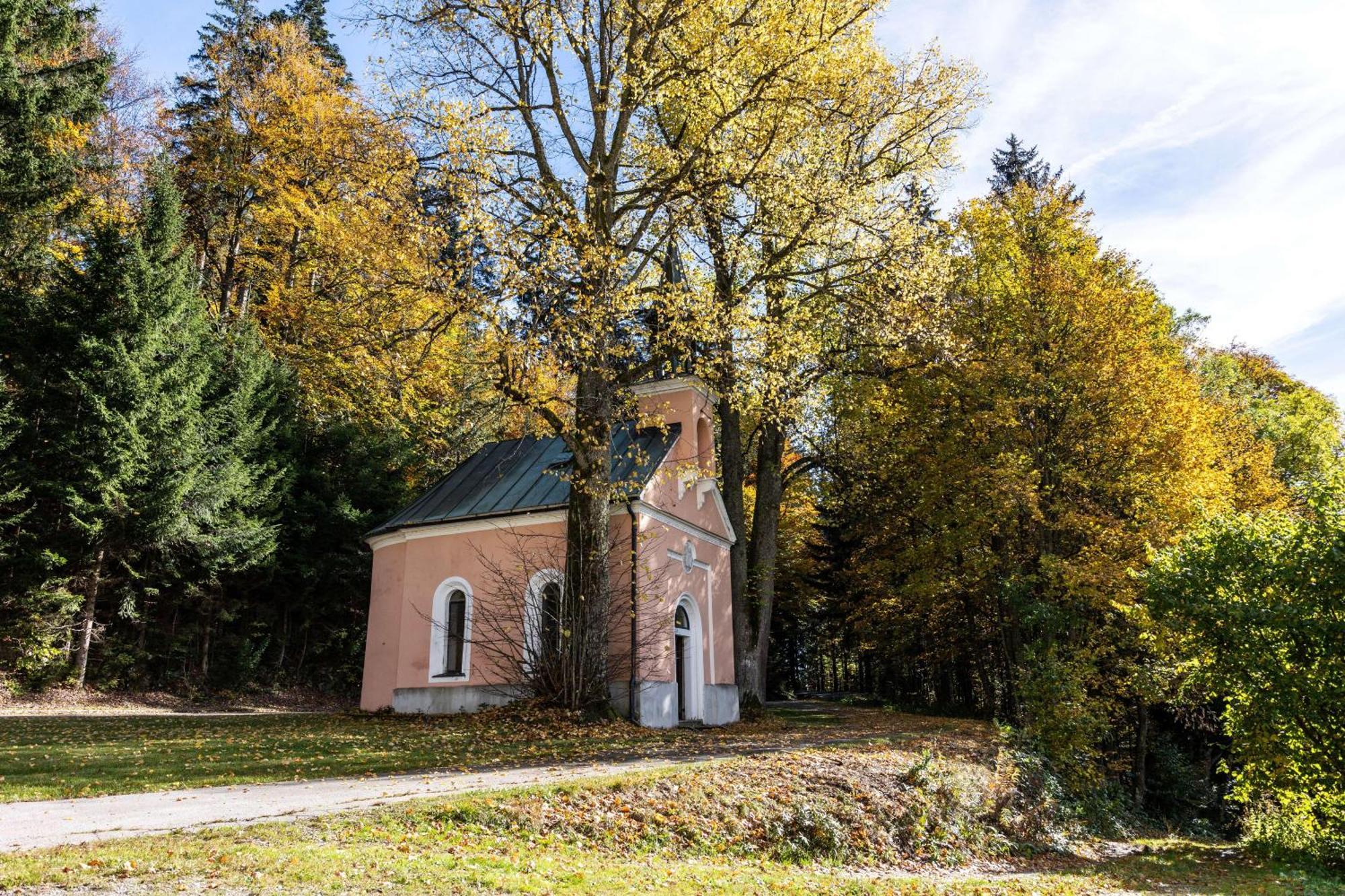 Forsthaus Apartments - Ski + Bike & Hike クラファー・アム・ホッホフィヒト エクステリア 写真