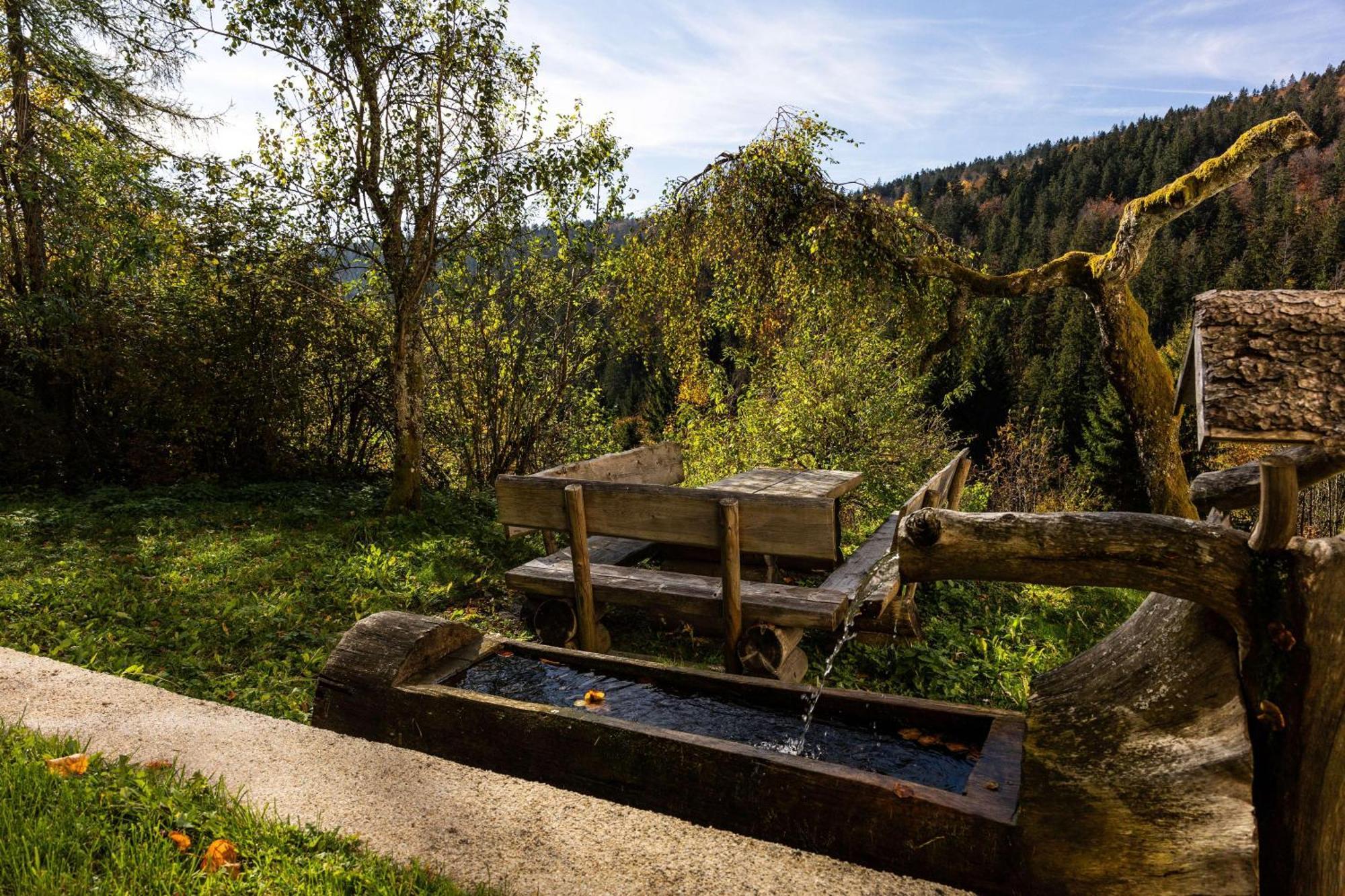 Forsthaus Apartments - Ski + Bike & Hike クラファー・アム・ホッホフィヒト エクステリア 写真