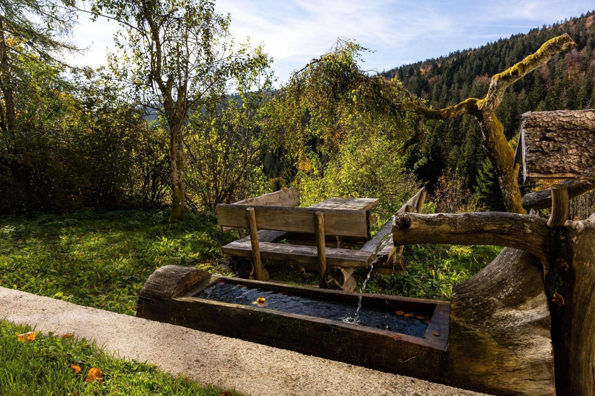 Forsthaus Apartments - Ski + Bike & Hike クラファー・アム・ホッホフィヒト エクステリア 写真